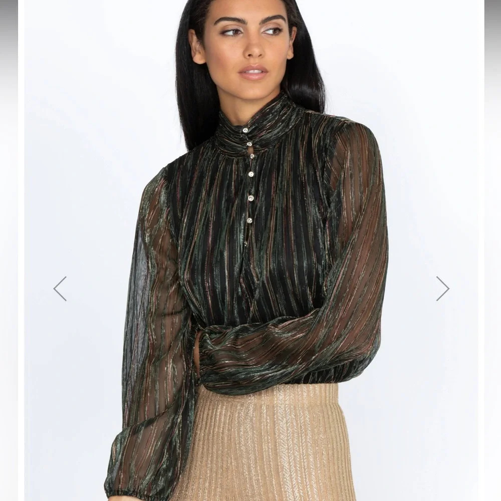 Johnny Was Forever Young Sexy Sheer Metallic Blouse size 2X